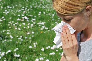 Spring Allergies Spring Allergies