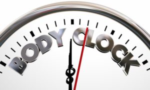 Body Clock Body Clock