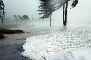 Prepare For A Hurricane Prepare For A Hurricane