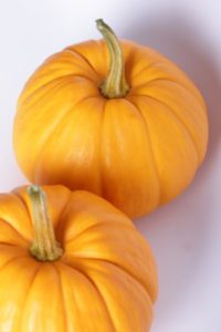 Halloween Halloween